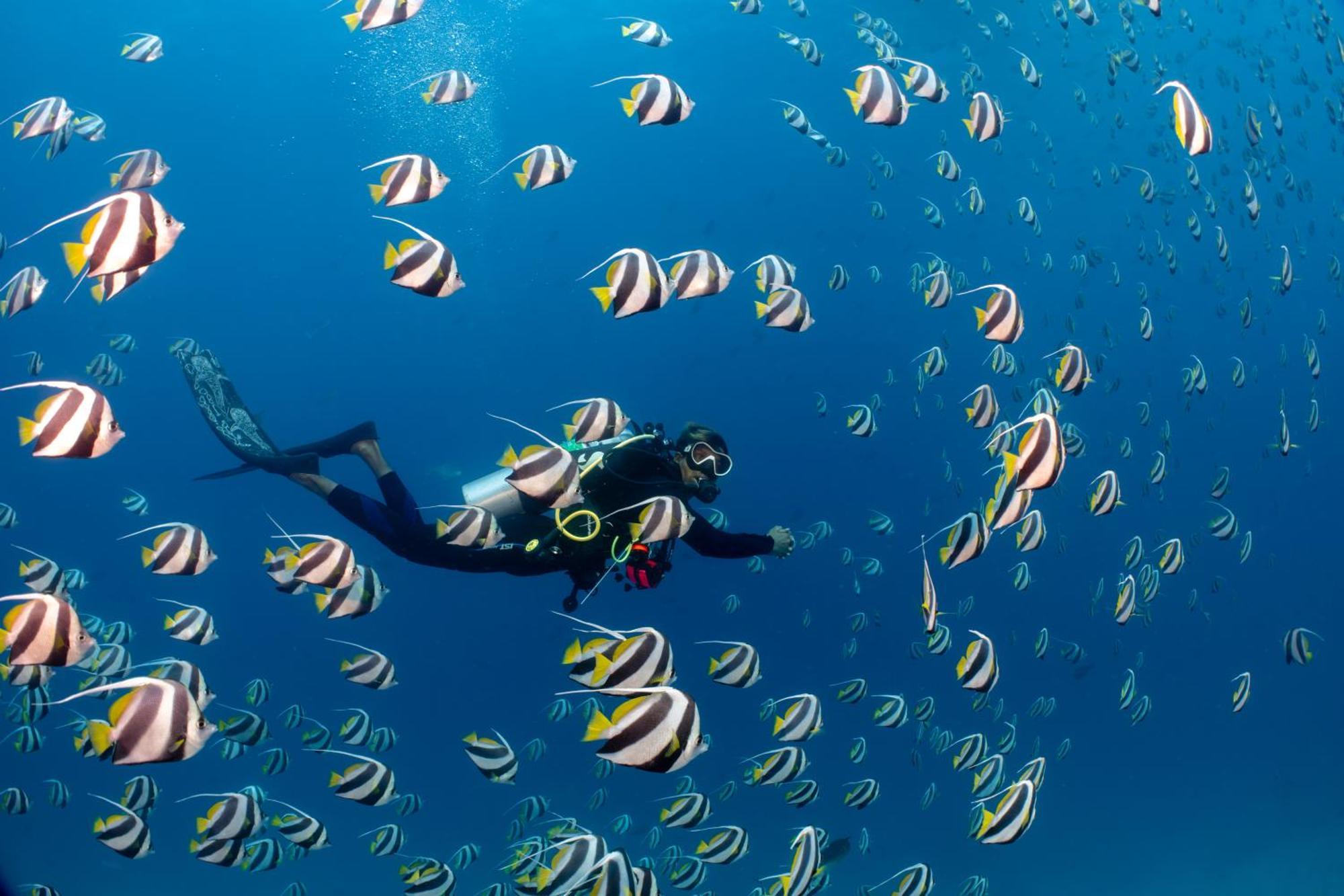 Bandos Maldives - One Way Transfer Free For Stays From 1St May Till 30Th Sept 2025 Bandos Island Kültér fotó