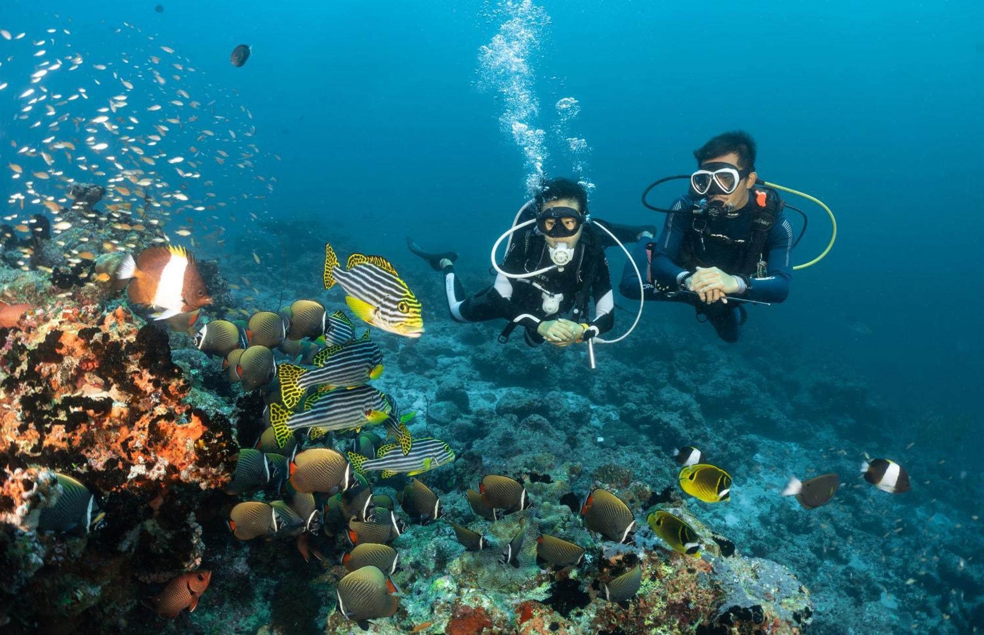 Bandos Maldives - One Way Transfer Free For Stays From 1St May Till 30Th Sept 2025 Bandos Island Kültér fotó
